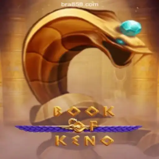 Experience the Excitement of BookOfKeno on the BR858.COM Platform