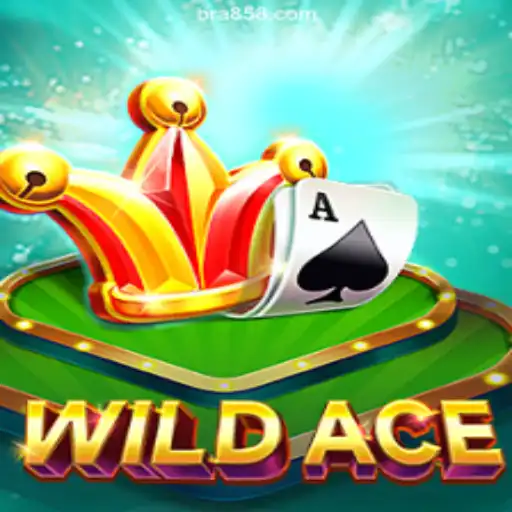 WildAce: A Comprehensive Guide to Brazil's Leading Online Slot Game on BR858.COM